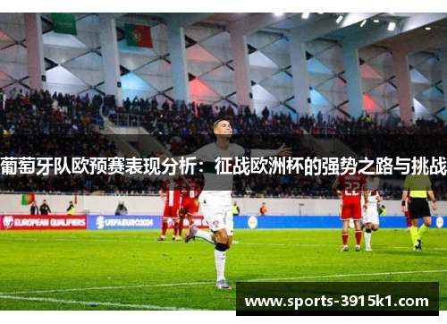葡萄牙队欧预赛表现分析：征战欧洲杯的强势之路与挑战